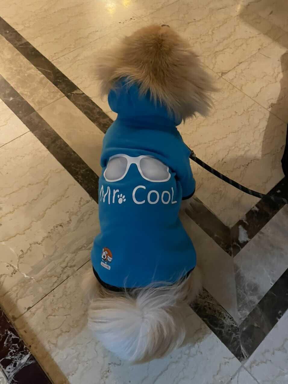 Mr. Cool - Hoodie