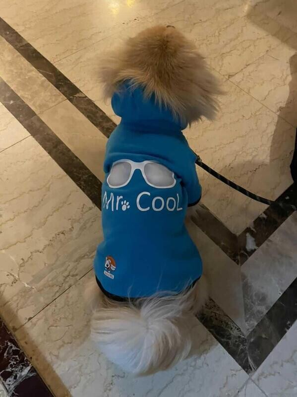Mr. Cool - Hoodie