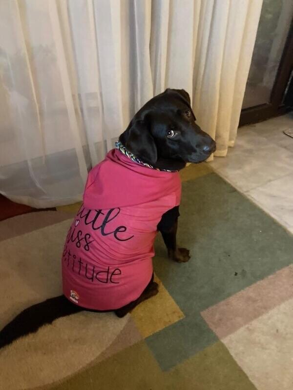 Little Miss Attitude - Hoodie