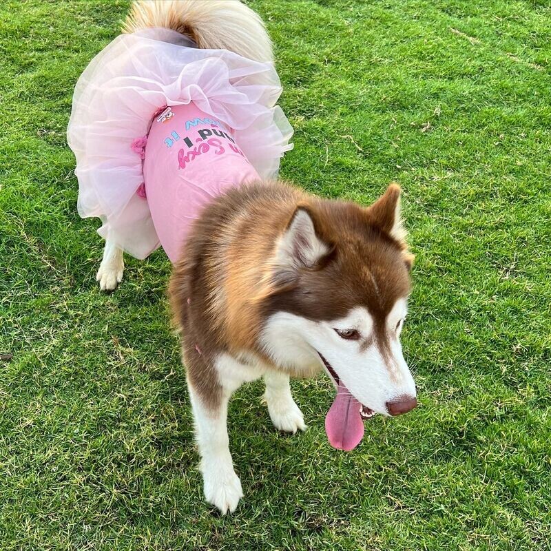 Am Sexy And I know it - Dress