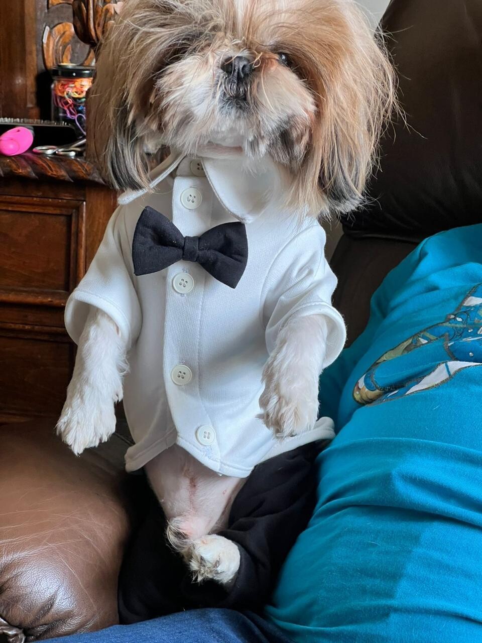 Formal - Tuxedo