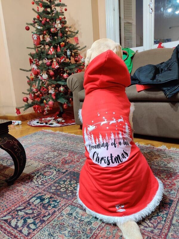 Dreaming of a Woof Wooof Christmans - Hoodie
