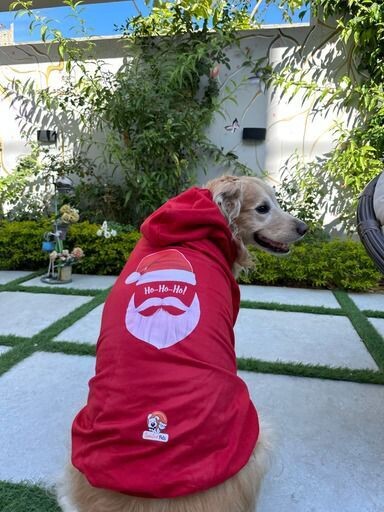 Hoo Hoo  Santa - Hoodie