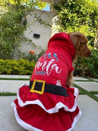 Mrs Santa - Chrsitmas