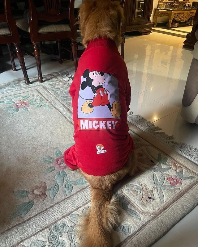 Singing Mickey - Hoodie