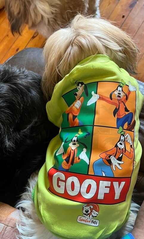 Goofy - Hoodie