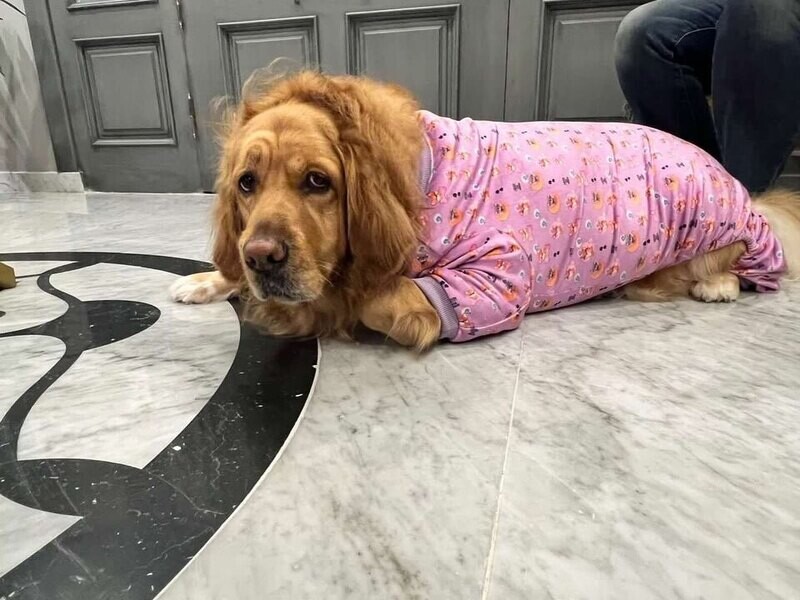 Charming - Fleece Pyjama