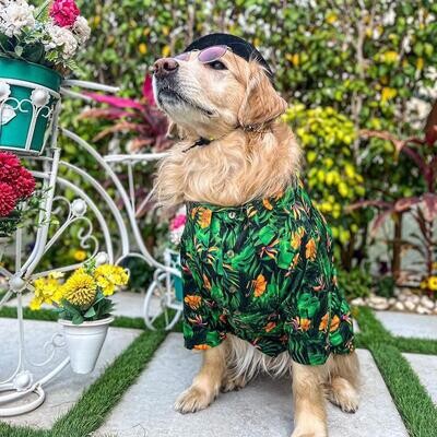 Stylish  - Hawaii Shirt
