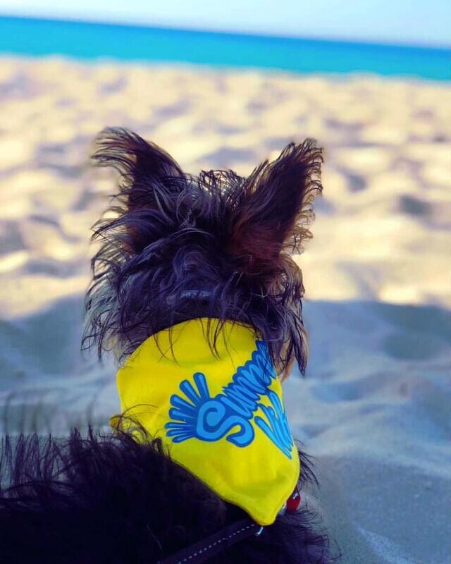 Customized - Bandana