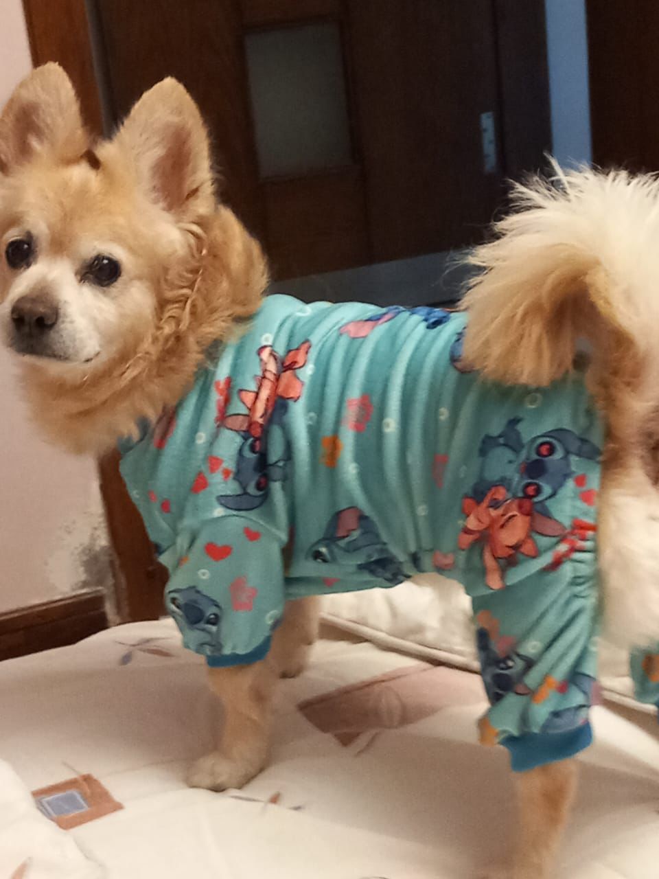 Baby Blue Stitch - Pyjama