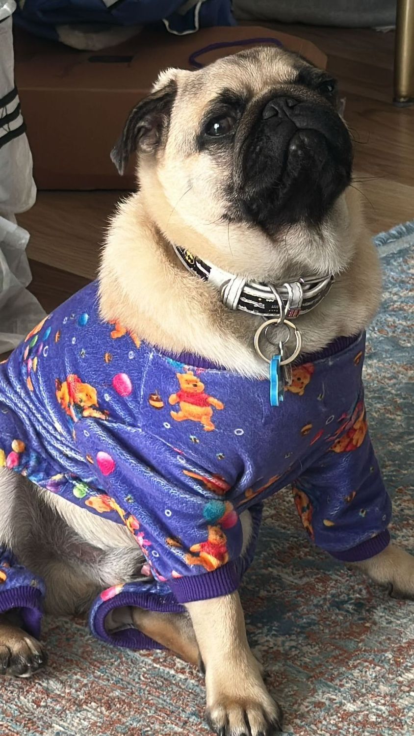 Winnie the Pooh - Pyjama