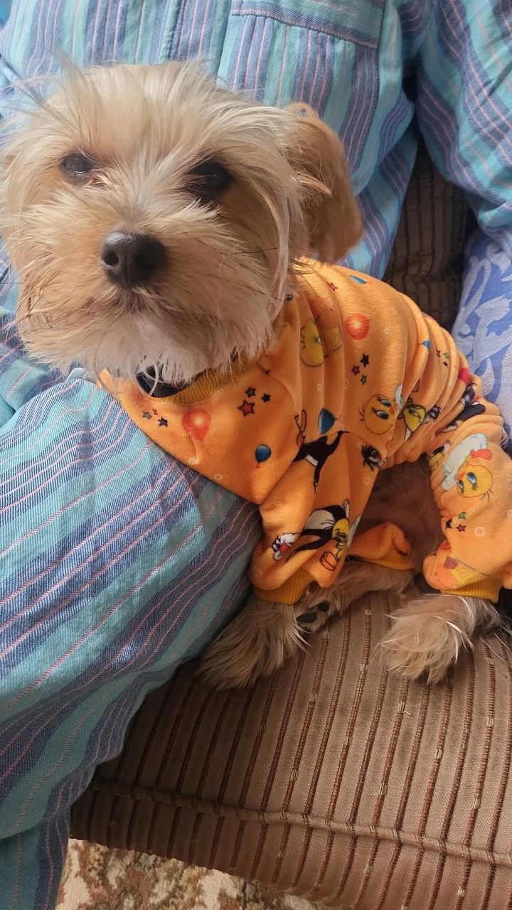 Tweety - Pyjama