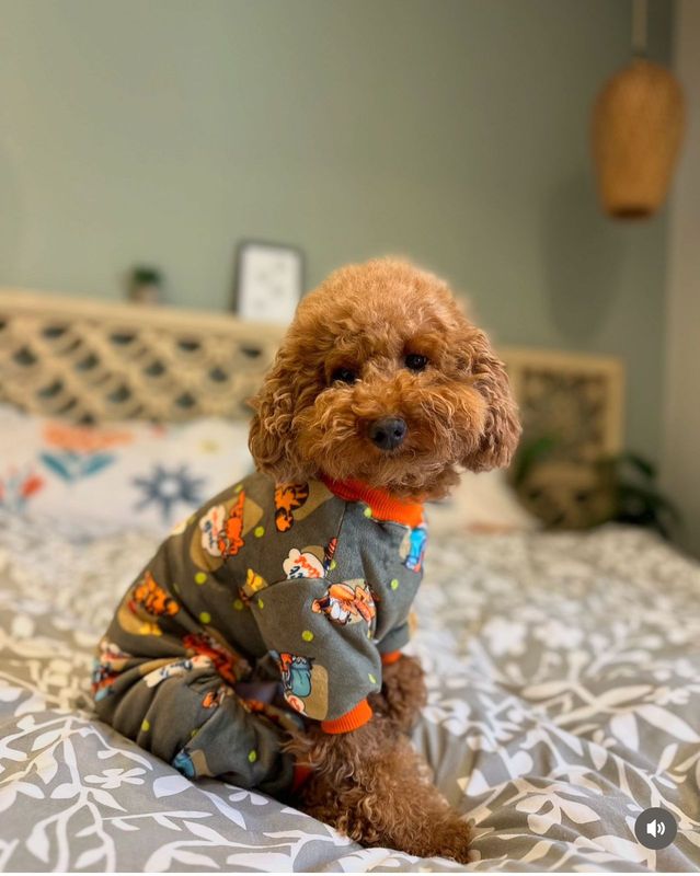 Garfield - Pyjama
