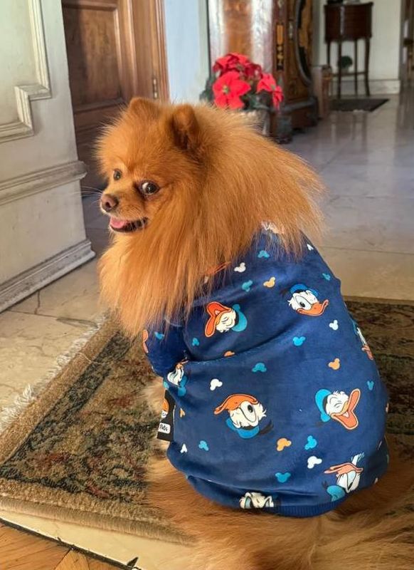 Donald - Pyjama