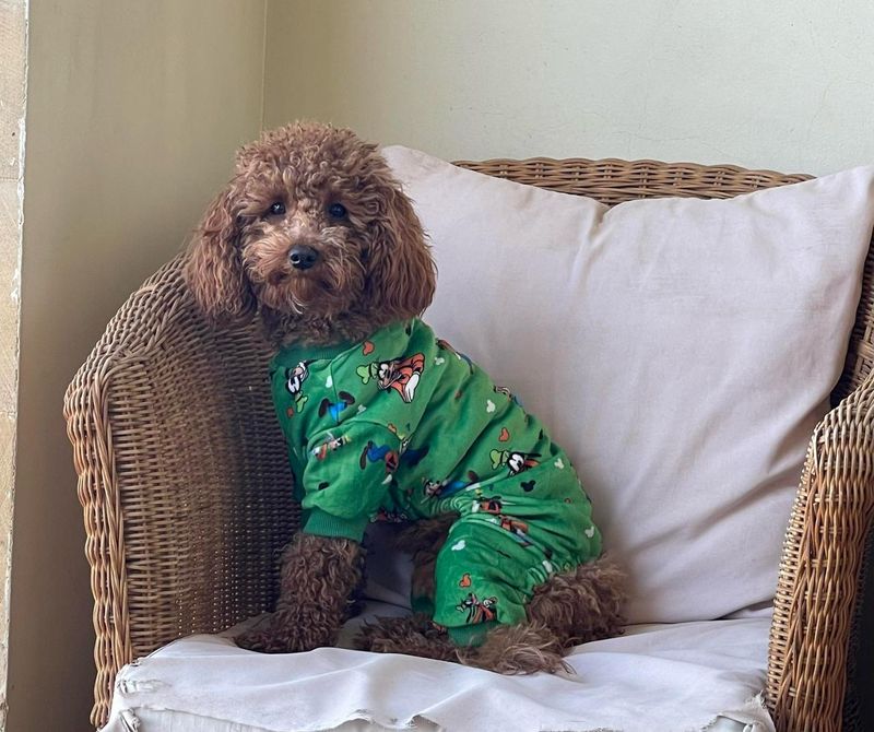Goofy - Green - Pyjama