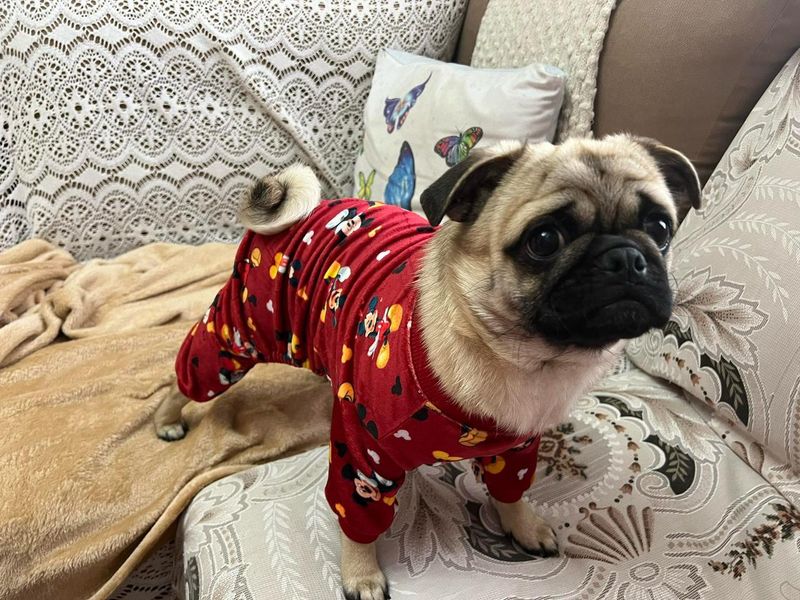 Mickey - Pyjama