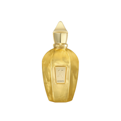 Xerjoff V Collection Accento Overdose Eau de Parfum 100 ml