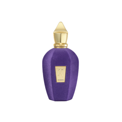 Xerjoff V Collection Accento Eau de Parfum 100 ml