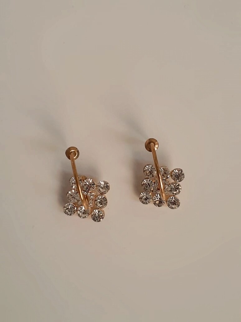 Toni Earings