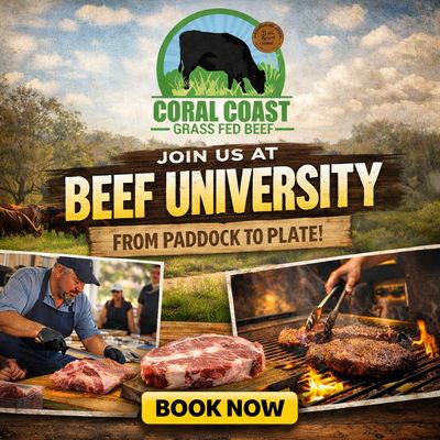 Beef University