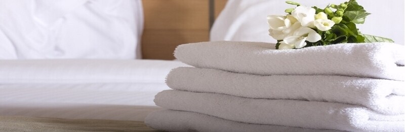 Plain White Egyptian Cotton Hand Towel