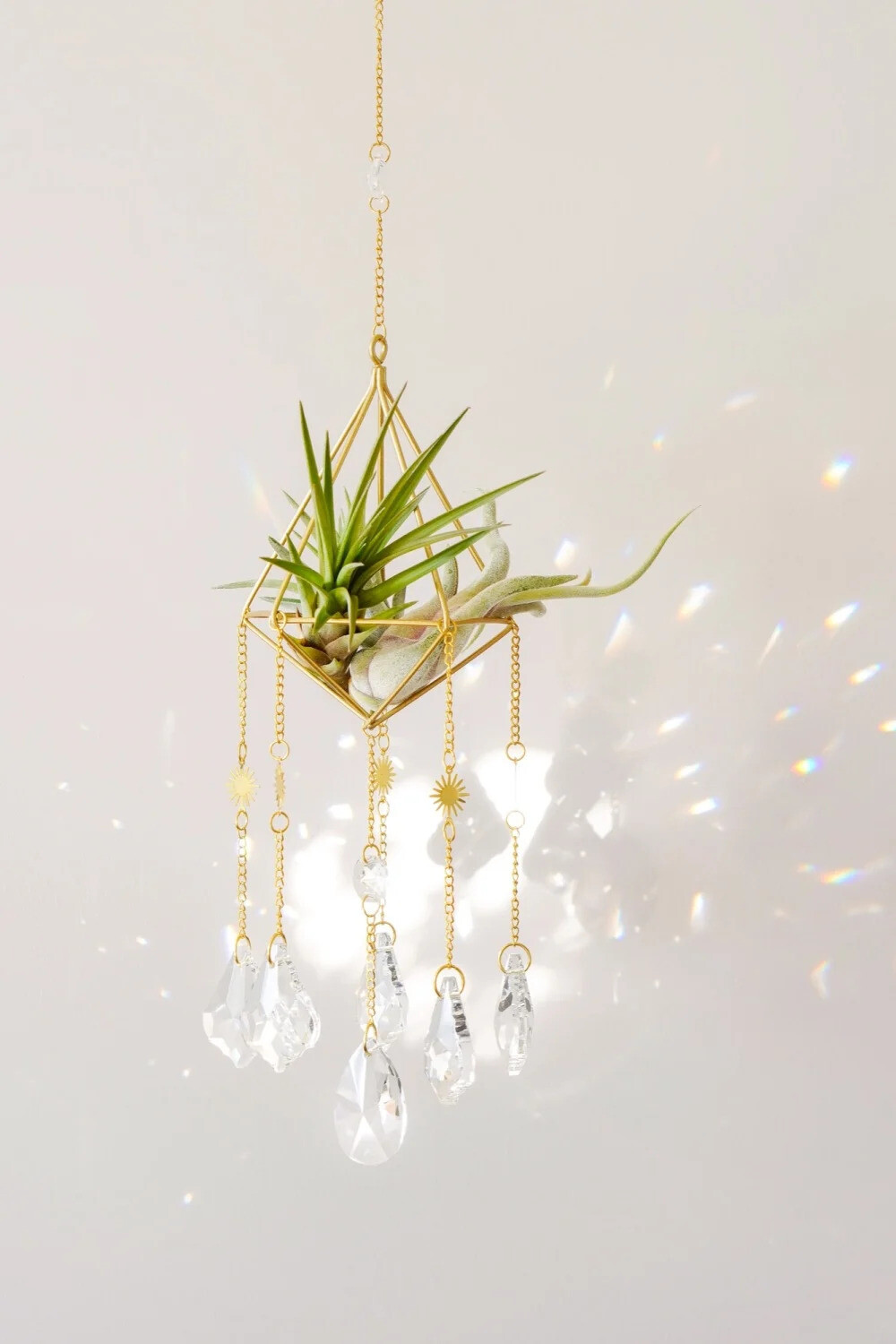 Salute to the Sun&quot; Crystal Air plant Suncatcher