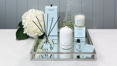 Modern Classics Sea Salt &amp; Oakmoss Diffuser