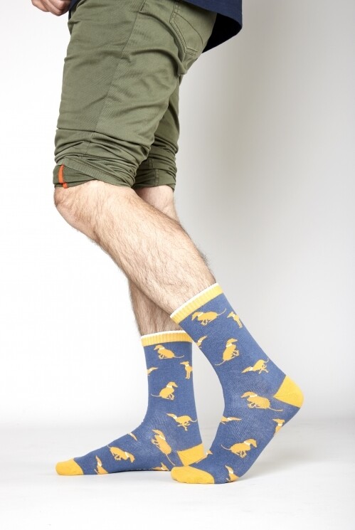 Men's Organic Cotton Whippet Socks