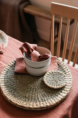Venlig Water Hyacinth Set of 2 Placemats
