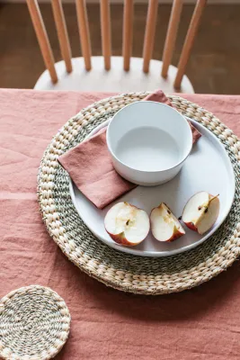 Venlig Water Hyacinth Set of 2 Placemats