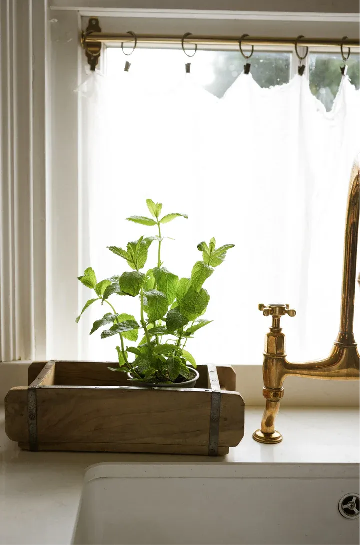 Wooden Brick Mold Box