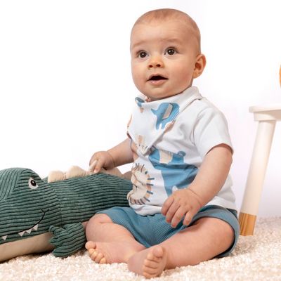 Boys Animal Print T‑Shirt &amp; Blue Shorts Set