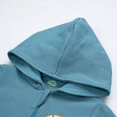 Boys Light Blue Textured Hooded Jacket with Lion Patch