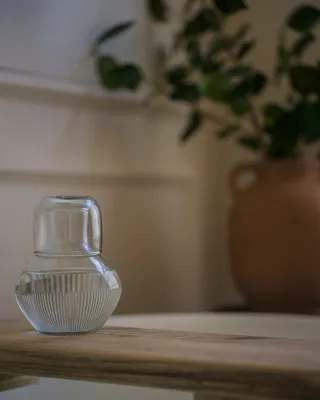 Handblown Carafe and Glass Set -
