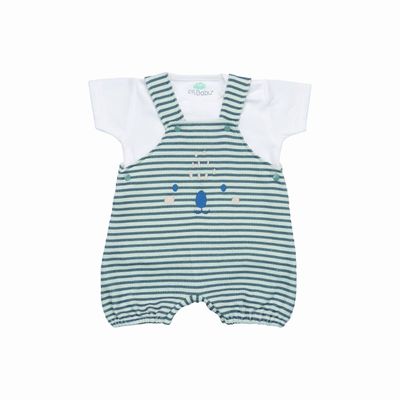 Organic Short‑Sleeve Romper + T‑Shirt Set — Green Stripes