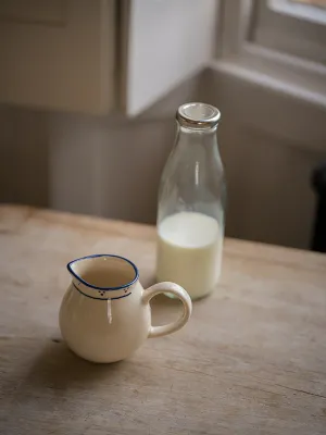 The Breakfast Collection Milk Jug