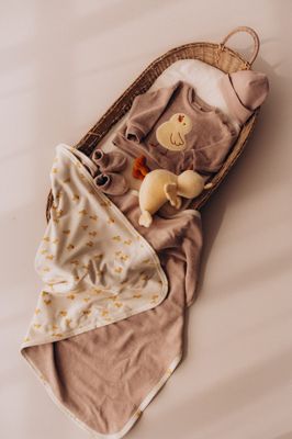 SOFT TOY CHICK