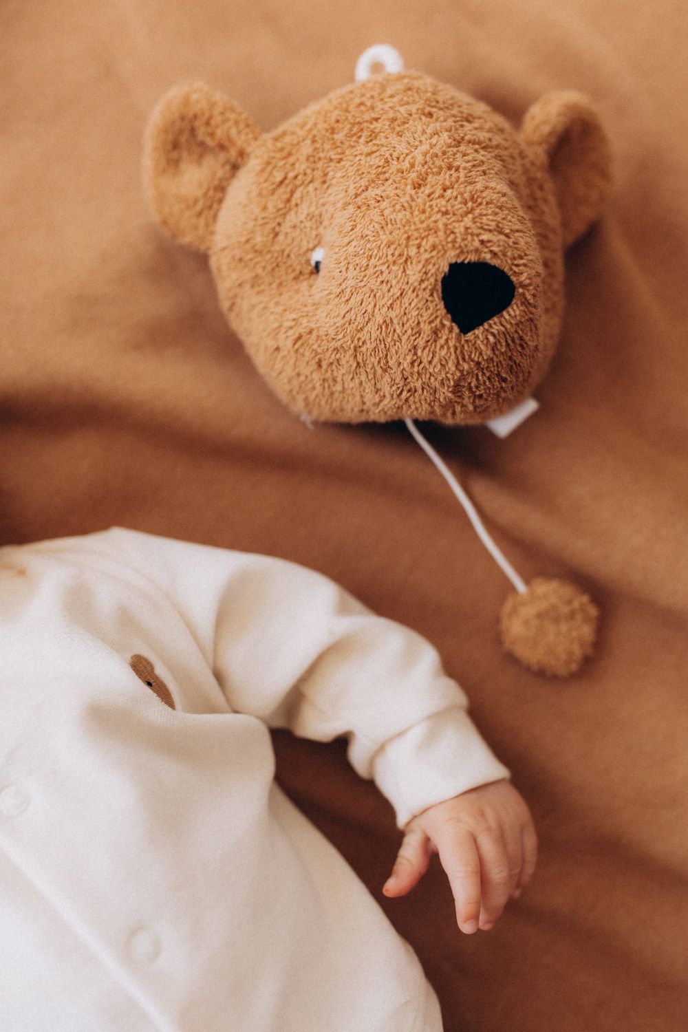 MUSIC BOX – TEDDY