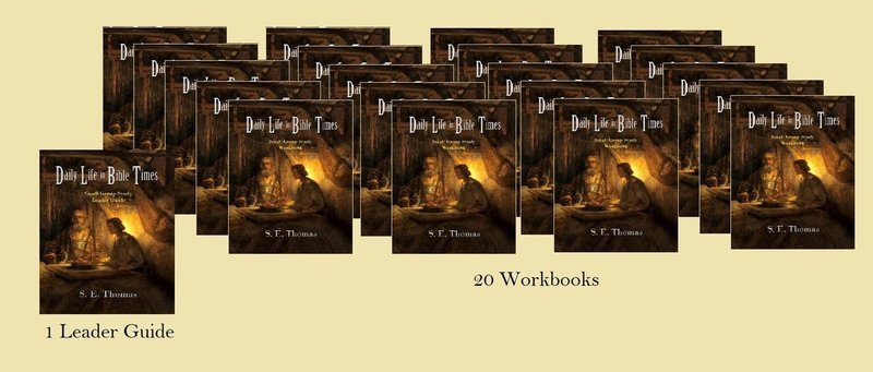 20% Off! Daily Life in Bible Times Small Group Study (1 Leader Guide &amp; 20 Workbooks.)