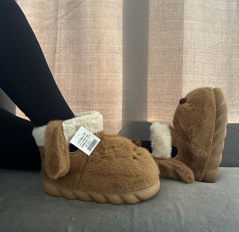 DOG CAMEL