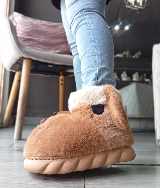 DOG CAMEL