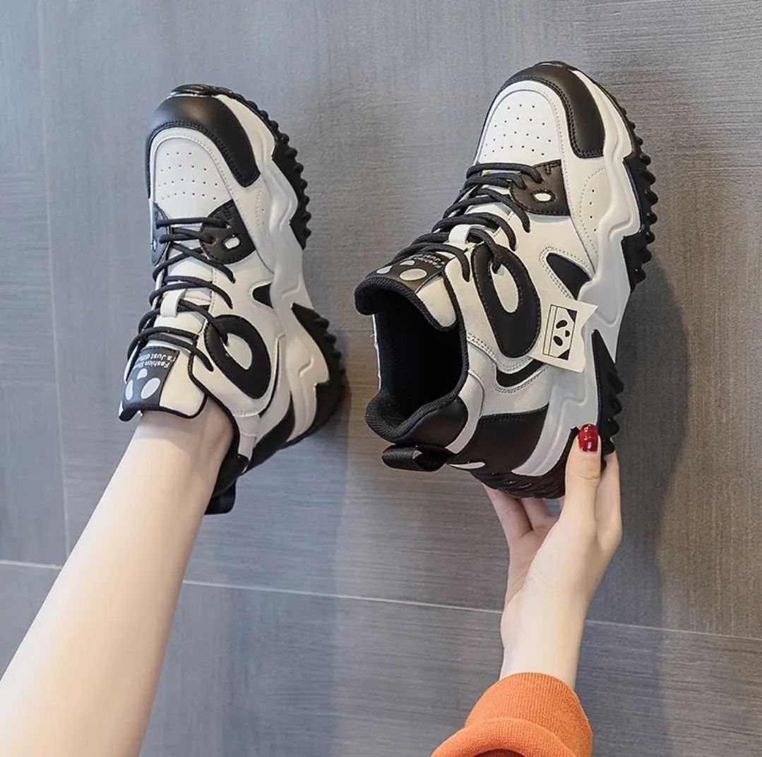 PANDA 1