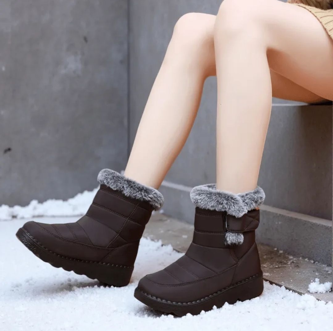 COLD 3