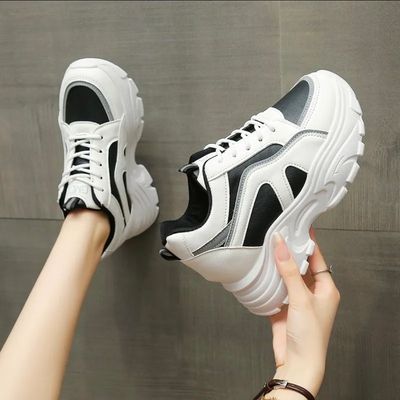 EXCLUSIVOS A SOLO $250