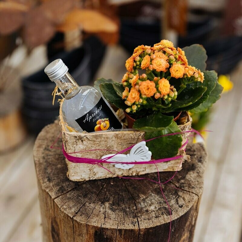 Geschenk "Versucherle"