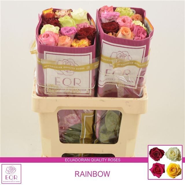 Rosen E. Premium MIX (10 Stück) Rosen E. Premium MIX (10 Stück)