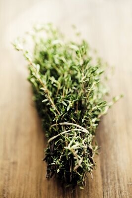 Grün - Beiwerk & mehr