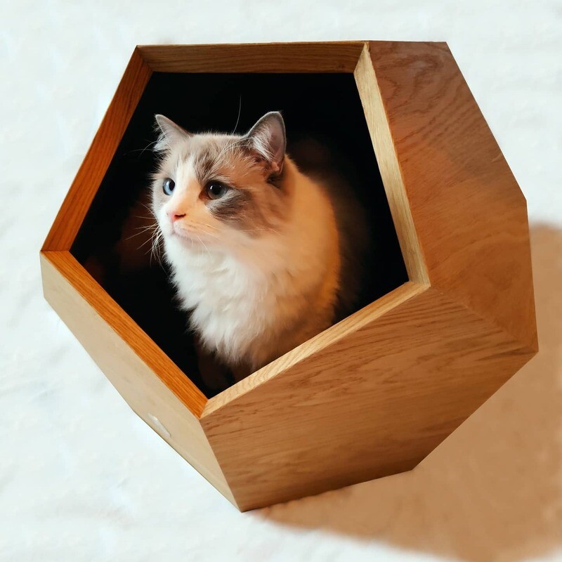 Dodecat cat cave.