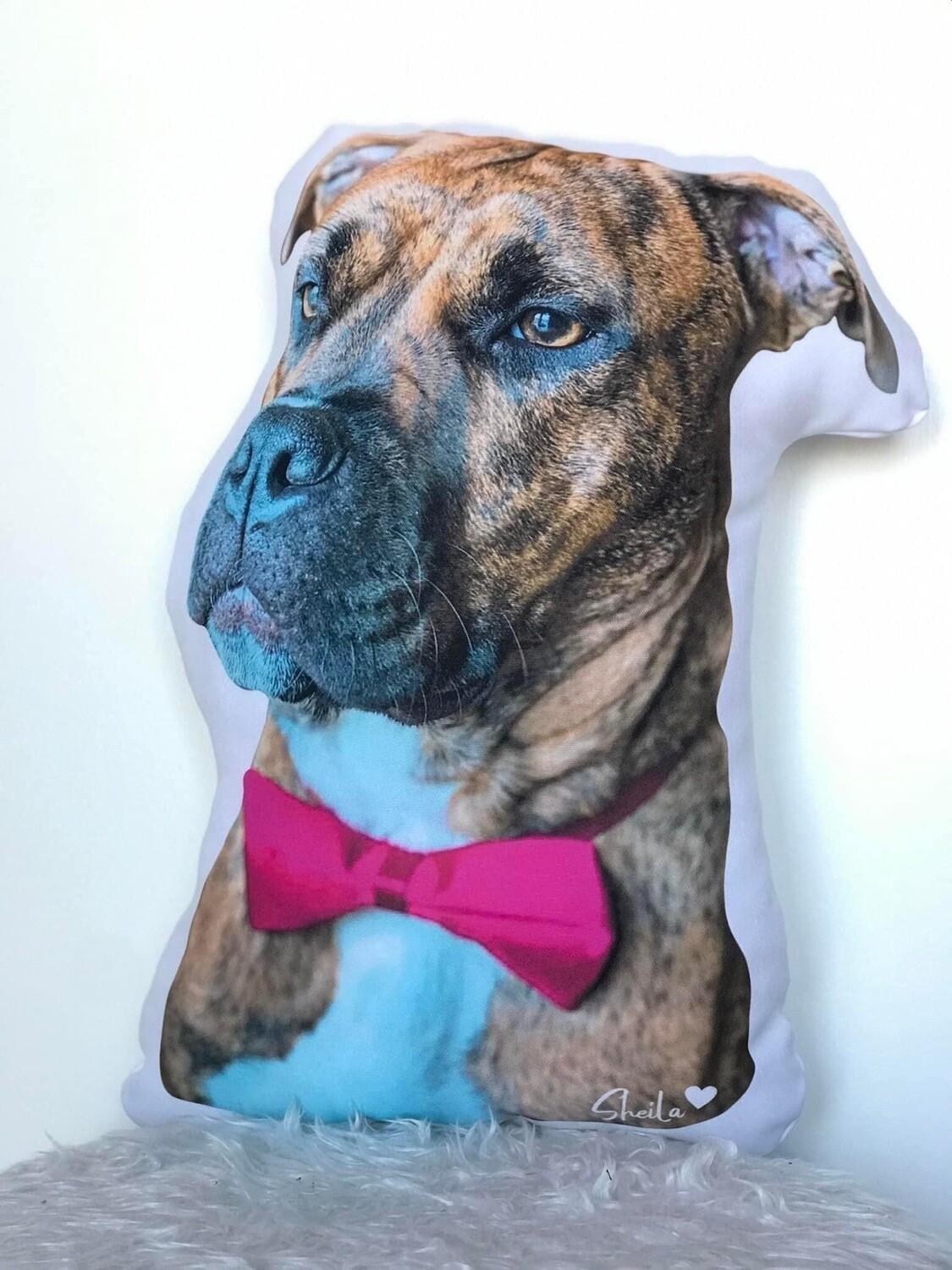 Almofada personalizada 3D