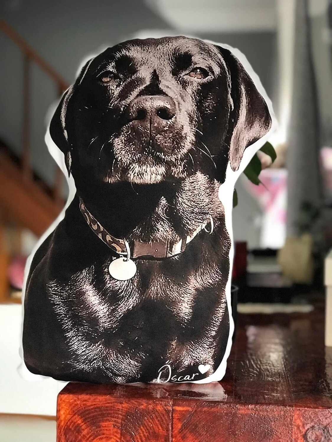 Almofada personalizada 3D